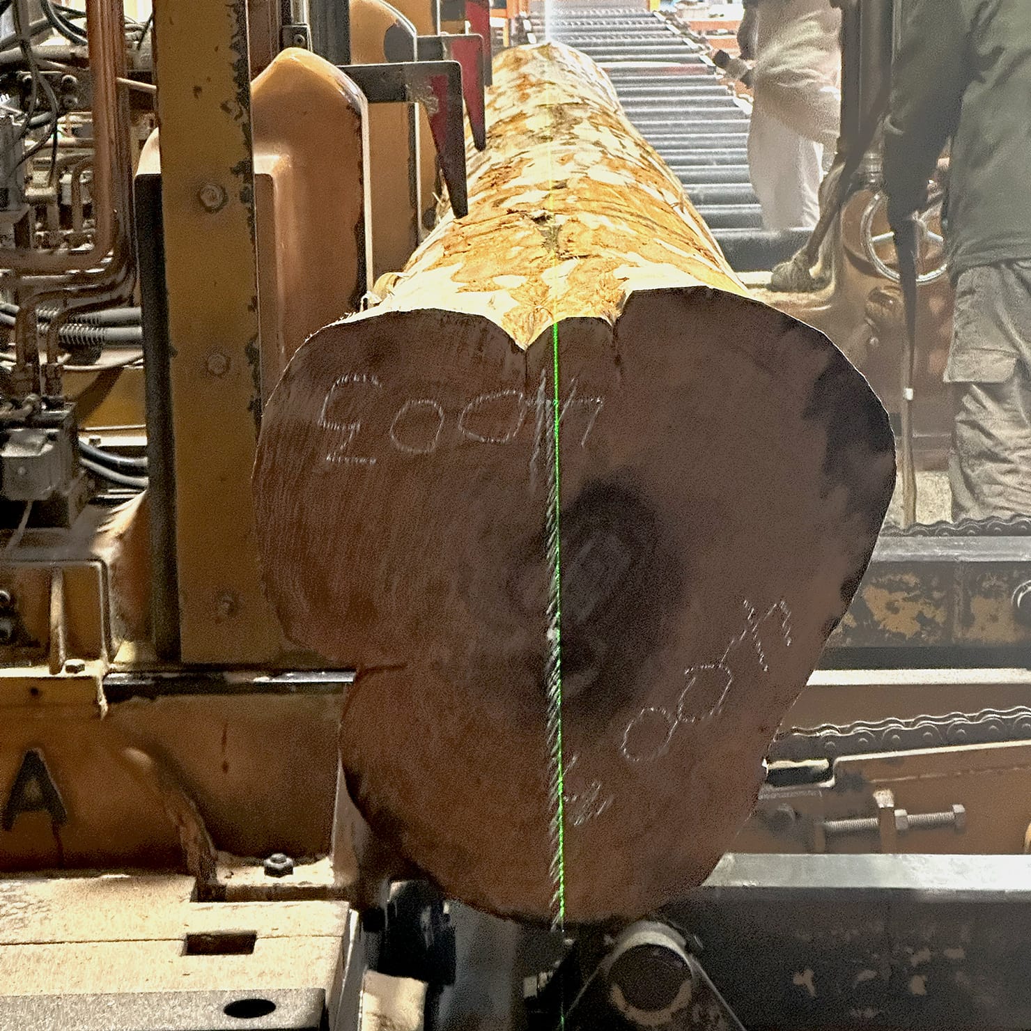製材の話
